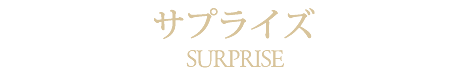 サプライズ札幌市中央区中国・中華料理の隠れ家チャイニーズレストランクラブチャイナ